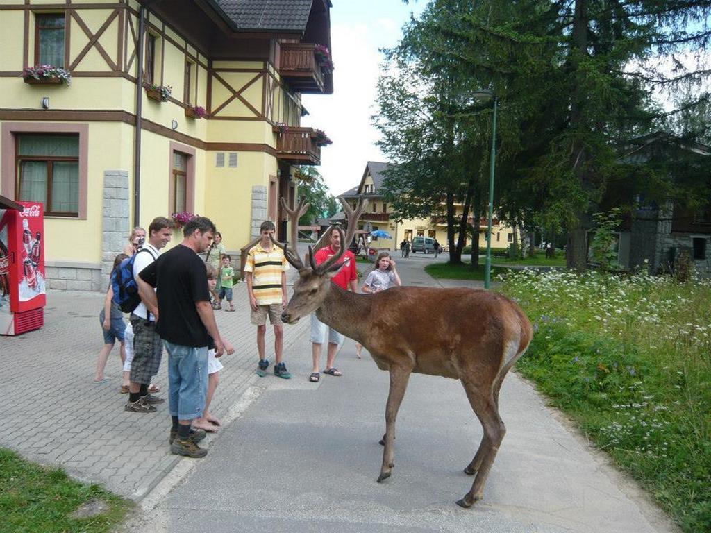 Park Penzion 3*